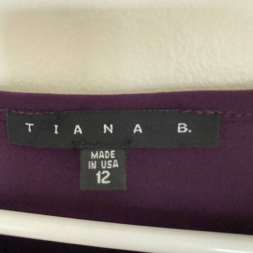 Tiana B  Colorblock Mini Shift Dress Purple Black Size 12