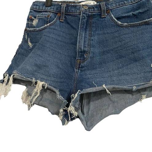 Abercrombie & Fitch  High Rise Mom Jean Shorts Denim Size 30 US 10 Curve Love