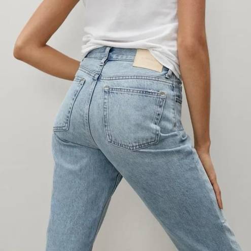 Everlane 90’s Cheeky Panel High Rise Crop Jeans