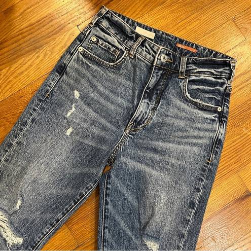 Pilcro  Anthropologie Vintage Straight Distressed Jeans Size 25