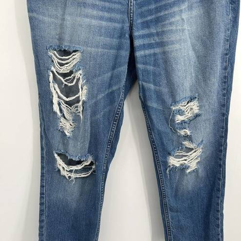 Abercrombie & Fitch  Distressed Annie High Rise Girlfriend Jeans Size 10 / 30