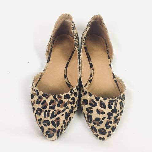 Jack Rogers  | flats cheetah print pointy toe 7.5