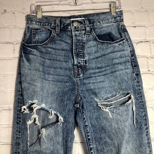 Willow + Root  Women's Size 28 The Vintage Dad Jean Distressed Straight High Rise