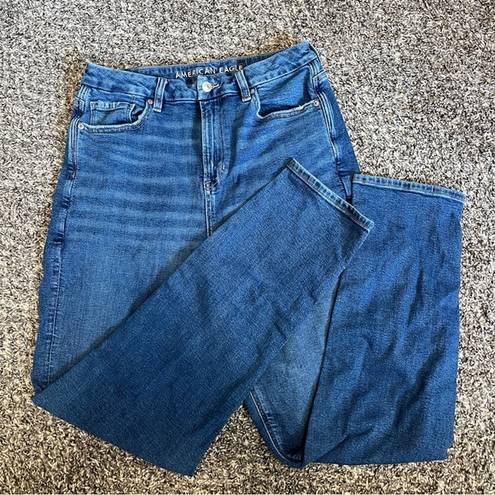 American Eagle Curvy High Waisted Mom Jeans Size 10 Long