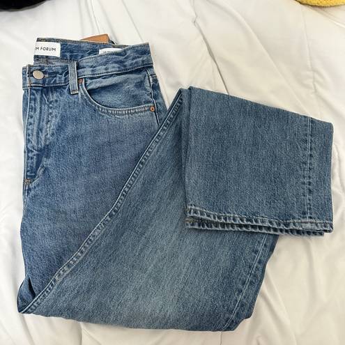 Aritzia Denim Forum The 90’s Iggy Lo-Rise Baggy