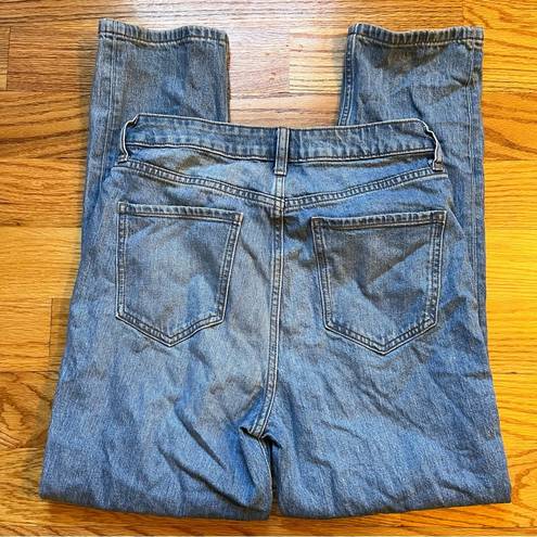 Elizabeth and James  High Rise Vintage Straight Jeans size 8 / 29