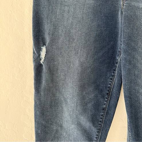 Spanx  Distressed Ankle Skinny Jeans Raw Hem | 1X