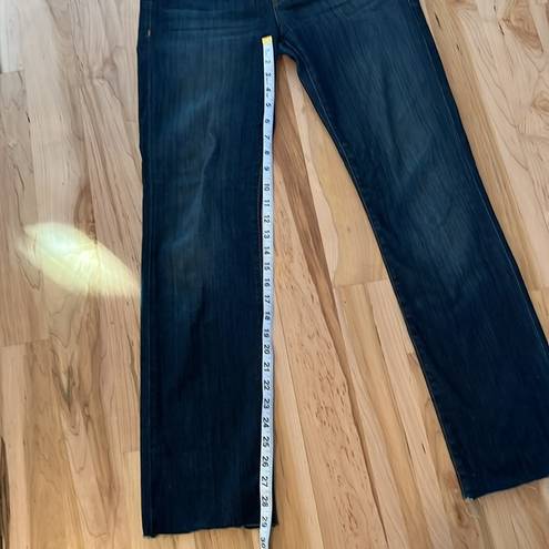 Hudson Jeans Hudson Ginny Straight Jeans - size 28