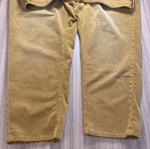 Pilcro  Tan Corduroy Slim Boyfriend Crop Pants - Size 22W