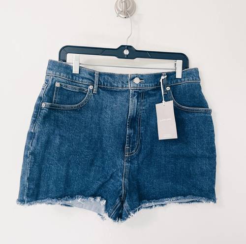 Everlane Denim Jean Shorts NWT - Size 31