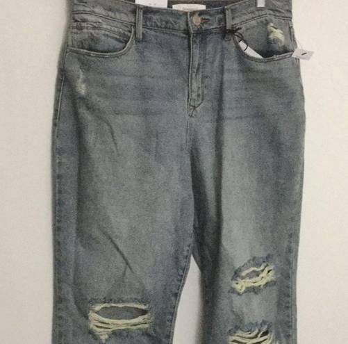 Skinny Girl High-Rise Str8 Crop Distressed Jeans 30