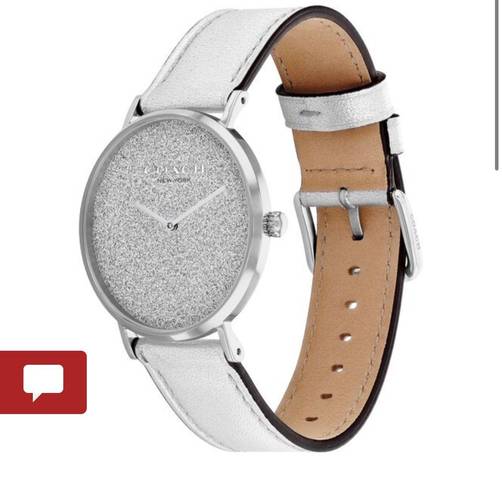 Coach Perry Watch NWT