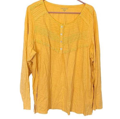 Coldwater Creek  Yellow Long Sleeve Blouse Top Size 2X Plus Size Lace Detail