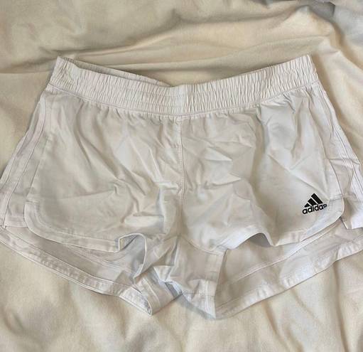 Adidas Shorts