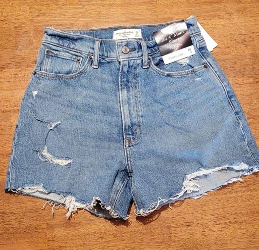 Abercrombie & Fitch Shorts