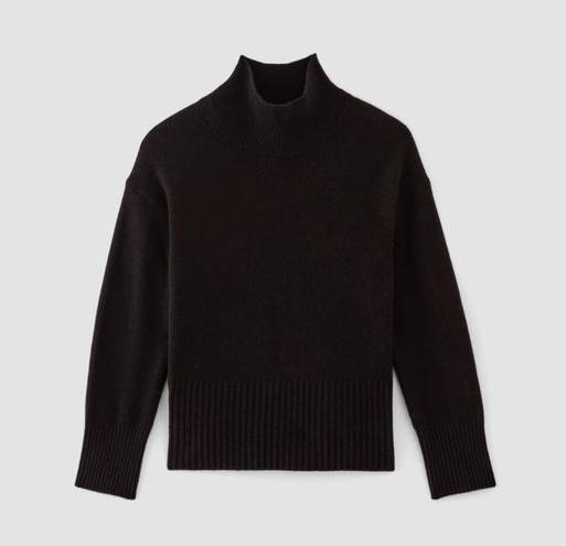 Everlane NWOT  The Cashmere Oversized Turtleneck