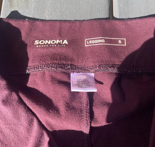 Sonoma Maroon Leggings