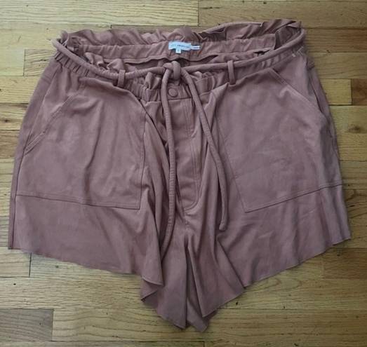 Good American  Shorts Size 4X