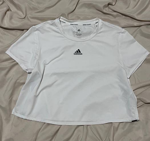 Adidas Fitness Crop Top Novelty