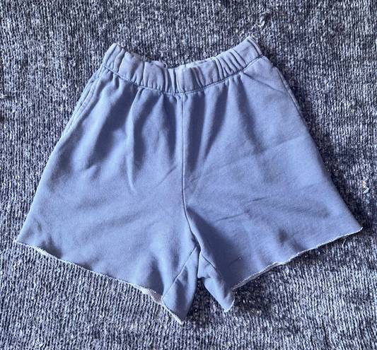 Aerie Navy Sweatshorts