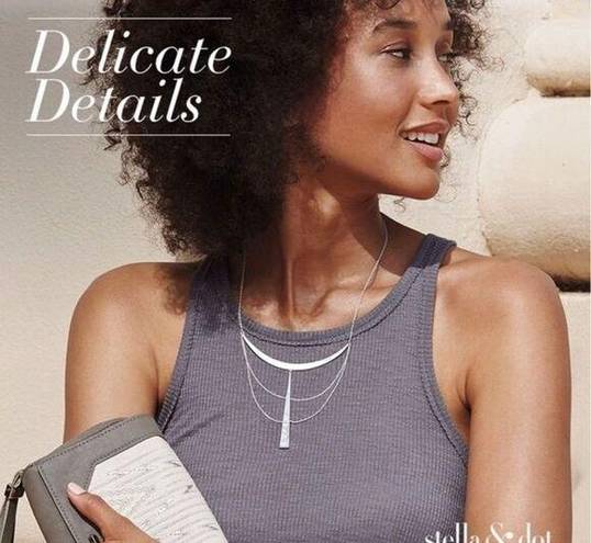 Stella & Dot NWT  swag necklace Two way layering silver