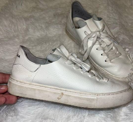 Sam Edelman Sam Eddleman Leather Poppy Sneaker Size 6 White Shoe