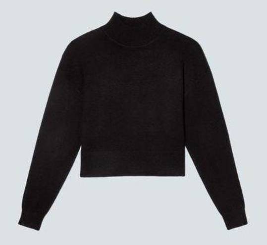 Everlane NWT  The Luxe Merino Turtleneck