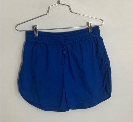 Sundry  Blue Athletic Shorts