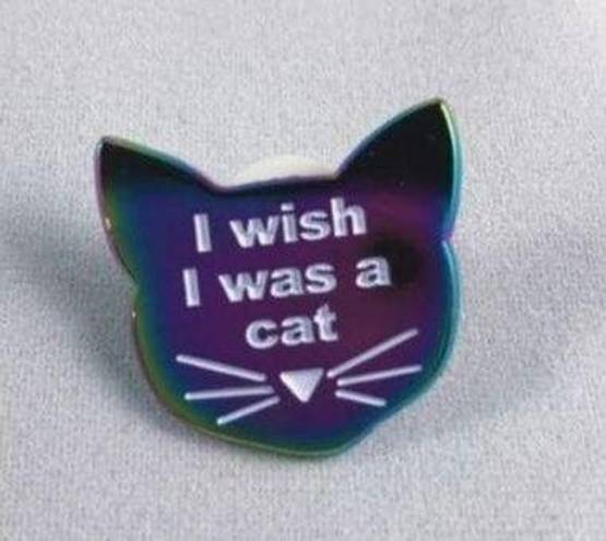 Wish I  I Was A Cat Rainbow Pin