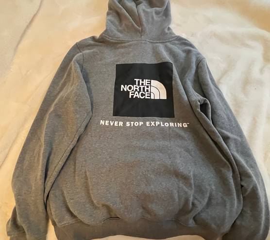 The North Face  Men’s Hoodie 