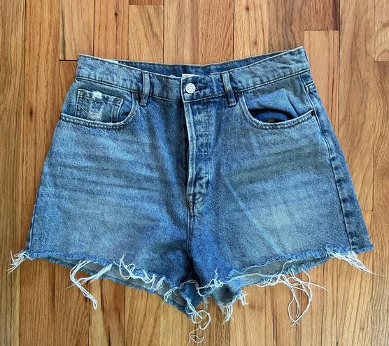 PacSun High Rise Icon Short