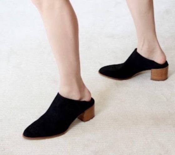 Everlane  Suede Heel Mule (Convertible into booties) Size 7