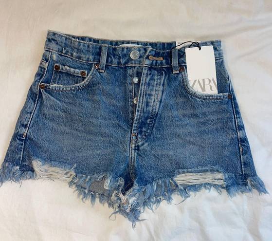 ZARA Denim Shorts