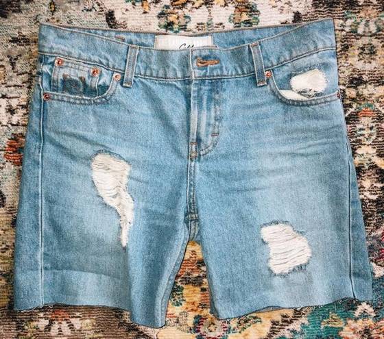 The Laundry Room Denim Shorts 