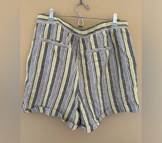 Krass&co  Ellen Tracy NWT shorts size Large