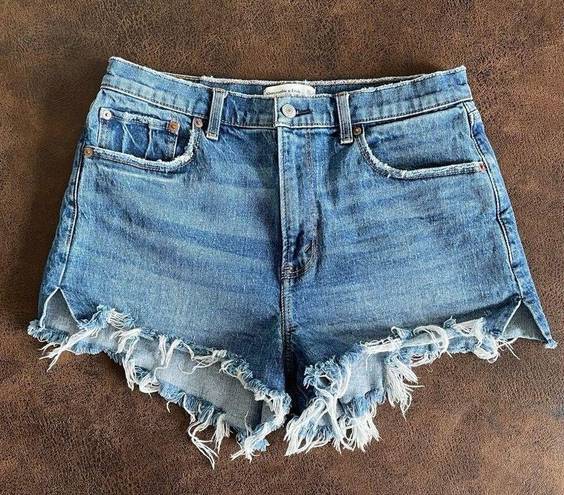 Abercrombie & Fitch The Mom Short High Rise / Size 10