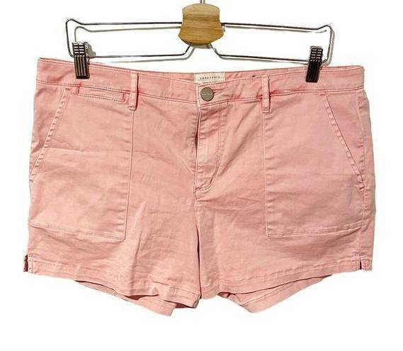 Sanctuary  Womens Size 32 Light Pink Denim Shorts