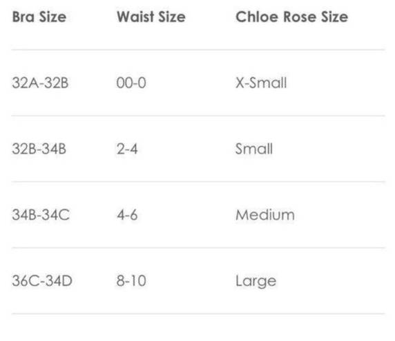 Chloe Rose  Size XS Dream On Triangle Top in Purple Leopard NWT