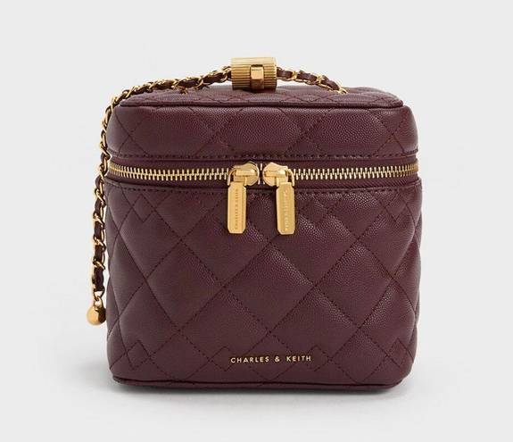 Charles and Keith  burgundy purse 