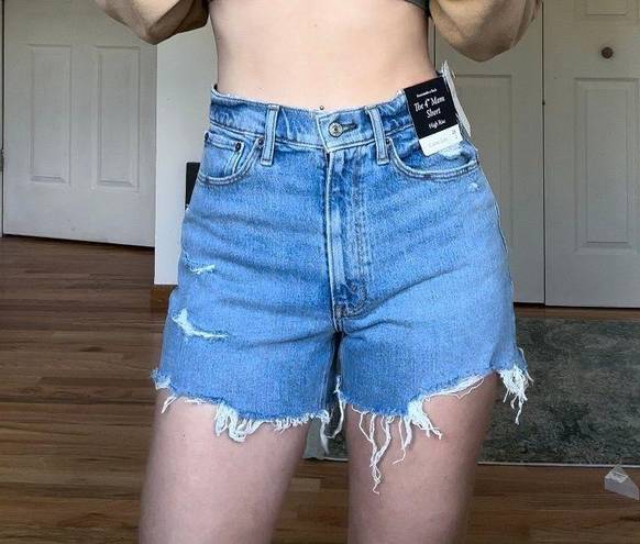 Abercrombie & Fitch Shorts