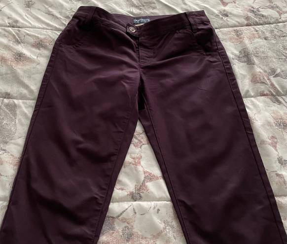 Emporio Armani New Sabrina Maroon Burgundy Cropped Slim Skinny Jeans, size 28”