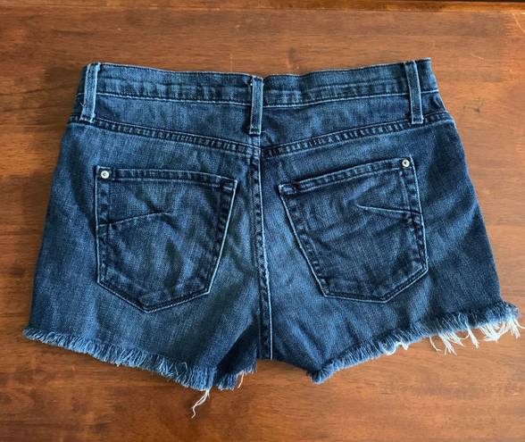 James Jeans Blue Denim Shorts, hunter, cut off, size 29, jeans shorts.