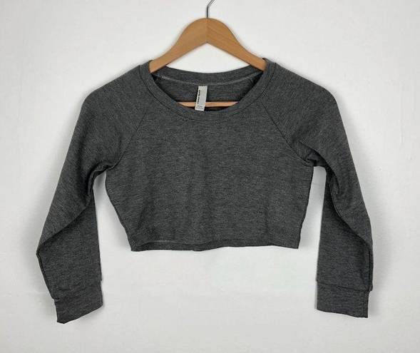 American Apparel Grey Raglan Crop Sweater