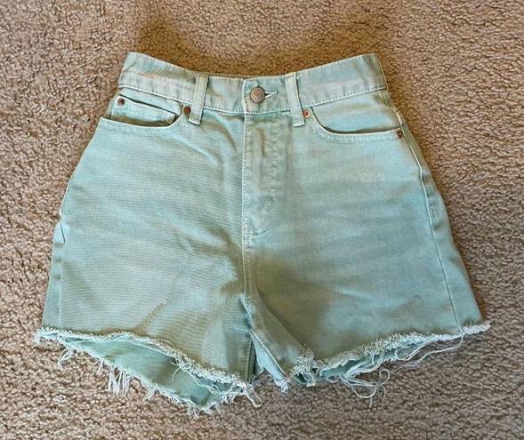 Urban Outfitters BDG Shorts