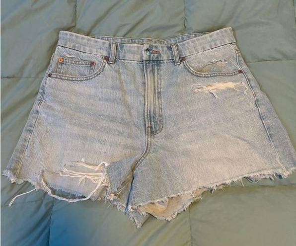 American Eagle  Jean Shorts