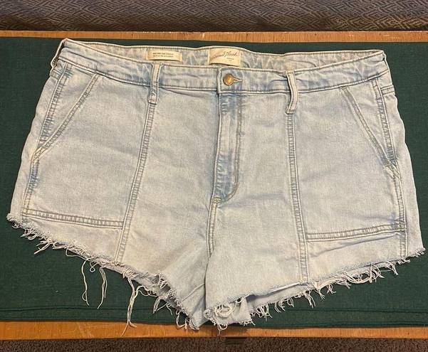 Universal Threads Carpenter Denim Shorts