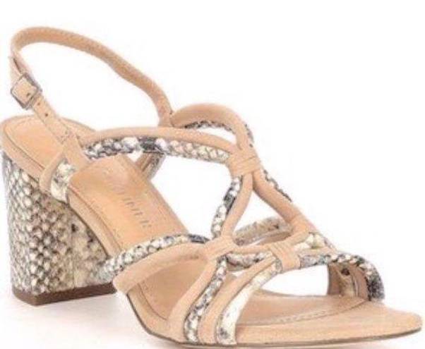 Gibson Latimer Size 8  Suede Reptile Strappy Sandals