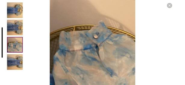 These Three Boutique Blue Organza dress