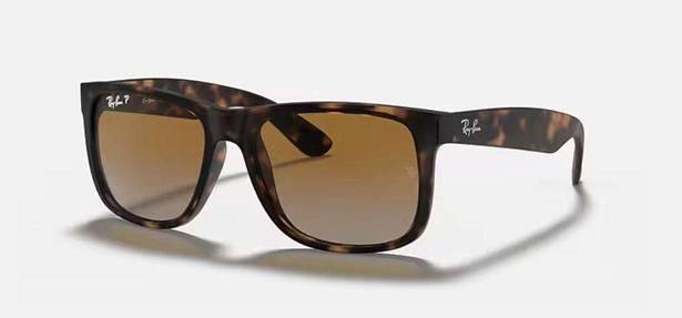 Ray-Ban Polarized Justin “Matte Havana”