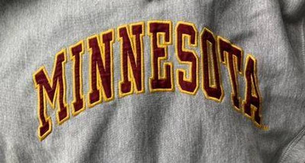 Minnesota Sweatshirt Hoodie Gray